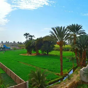 Farida Luxor